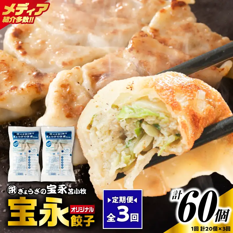 【定期便・全3回 毎月】手包み餃子 ぎょうざの宝永 宝永餃子20個セット（宝永餃子10個入×2袋） T004-T03-02-02 定期便 定期 惣菜 総菜 餃子