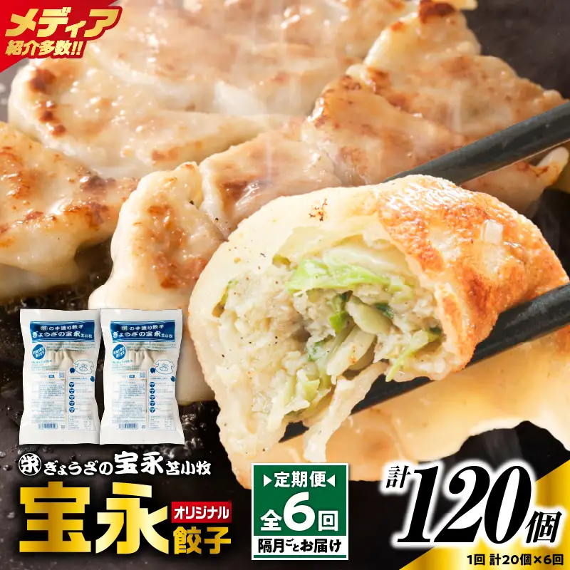 【定期便・全6回 隔月】手包み餃子 ぎょうざの宝永 宝永餃子20個セット（宝永餃子10個入×2袋） T004-T03-02-03 定期便 定期 惣菜 総菜 餃子