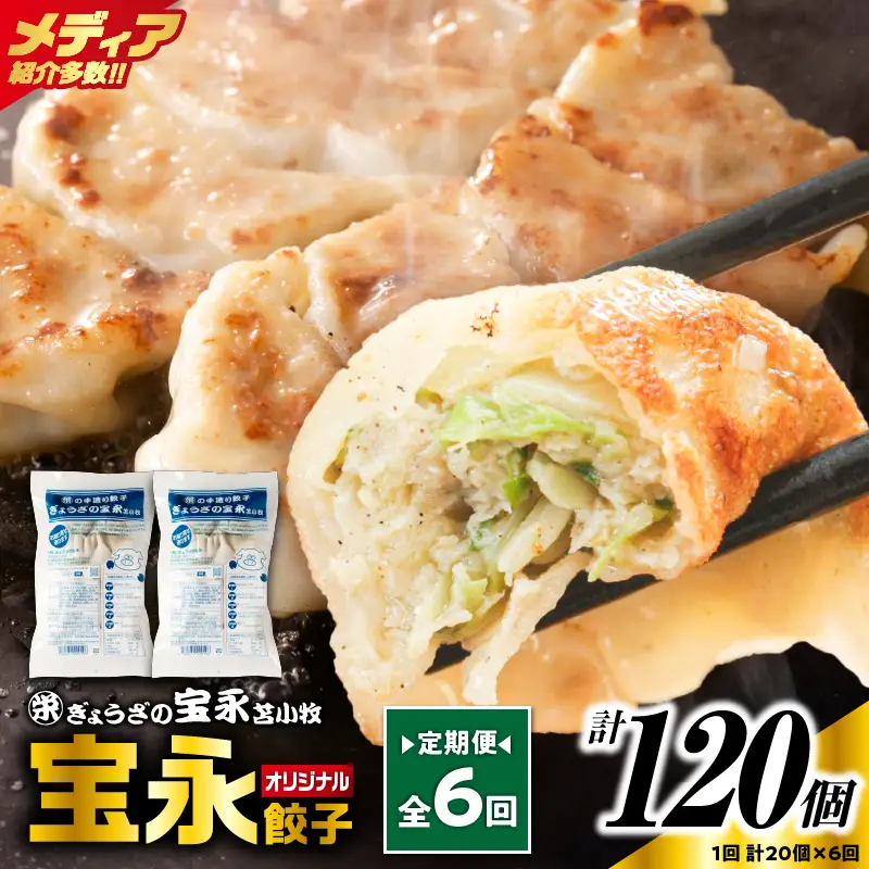 【定期便・全6回 毎月】手包み餃子 ぎょうざの宝永 宝永餃子20個セット（宝永餃子10個入×2袋） T004-T03-02-04 定期便 定期 惣菜 総菜 餃子 