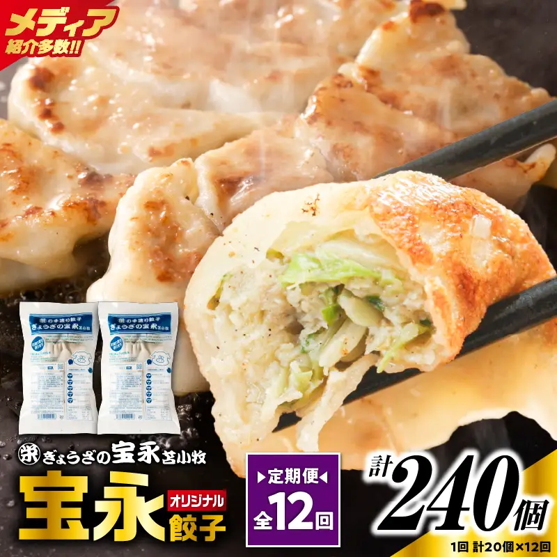 【定期便・全12回 毎月】手包み餃子 ぎょうざの宝永 宝永餃子20個セット（宝永餃子10個入×2袋） T004-T03-02-05 定期便 定期 惣菜 総菜 餃子