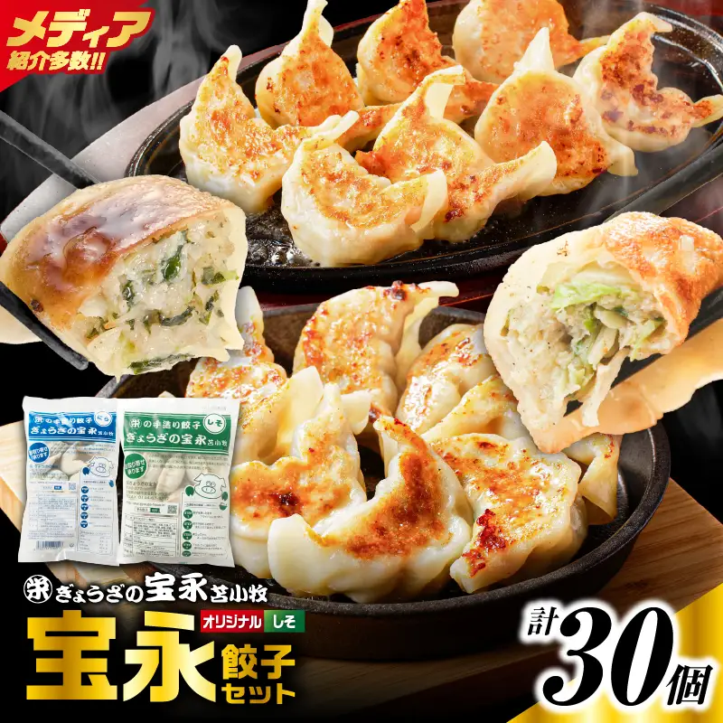 手包み餃子 ぎょうざの宝永 しそ餃子30個セット（宝永餃子15個入×1袋・しそ餃子15個入×1袋） T004-004-02 惣菜 総菜 ギョウザ しそ餃子 餃子