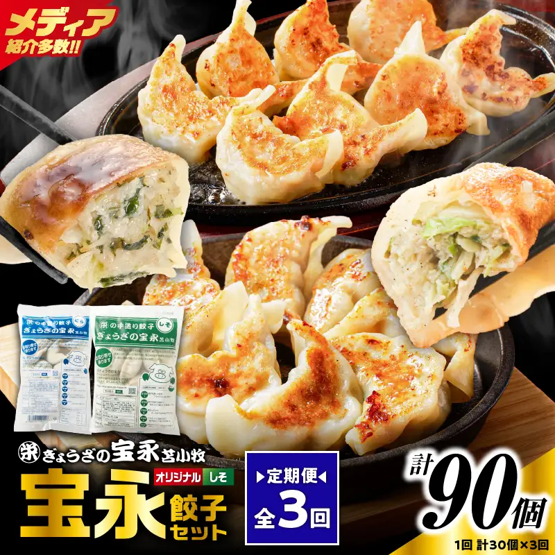 【定期便・全3回 毎月】手包み餃子 ぎょうざの宝永 しそ餃子30個セット（宝永餃子15個入×1袋・しそ餃子15個入×1袋） T004-T04-02-02 定期便 定期 惣菜 総菜 ギョウザ しそ餃子 餃子