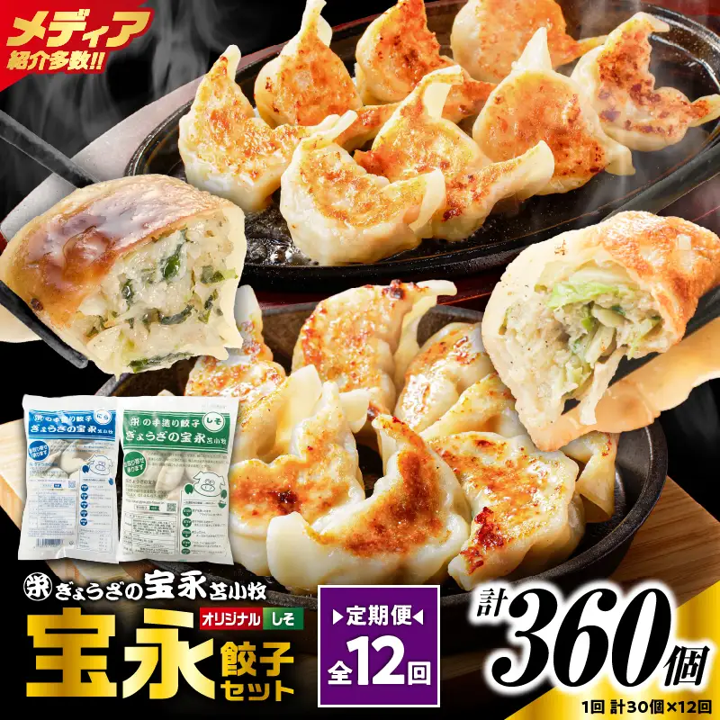 【定期便・全12回 毎月】手包み餃子 ぎょうざの宝永 しそ餃子30個セット（宝永餃子15個入×1袋・しそ餃子15個入×1袋） T004-T04-02-05 定期便 定期 惣菜 総菜 ギョウザ しそ餃子 餃子