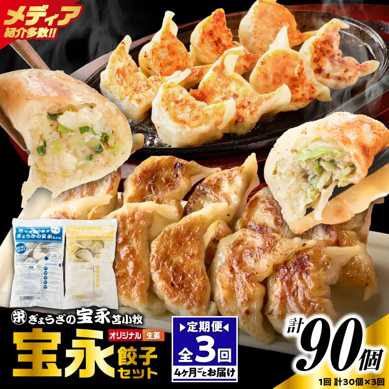 【定期便・全3回 4ヶ月毎】手包み餃子 ぎょうざの宝永 生姜餃子30個セット（宝永餃子15個入×1袋・生姜餃子15個入×1袋） T004-T05-01-01 定期便 定期 惣菜 総菜 餃子