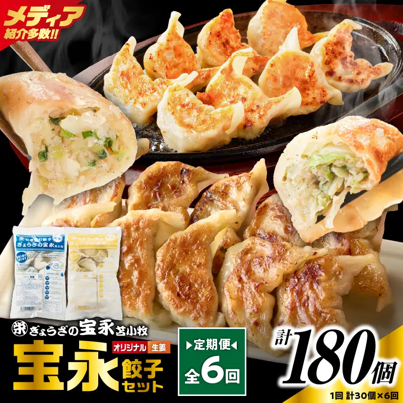 【定期便・全6回 毎月】手包み餃子 ぎょうざの宝永 生姜餃子30個セット（宝永餃子15個入×1袋・生姜餃子15個入×1袋） T004-T05-01-04 定期便 定期 惣菜 総菜 餃子