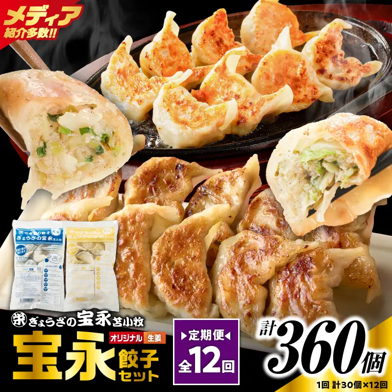 【定期便・全12回 毎月】手包み餃子 ぎょうざの宝永 生姜餃子30個セット（宝永餃子15個入×1袋・生姜餃子15個入×1袋） T004-T05-01-05 定期便 定期 惣菜 総菜 餃子