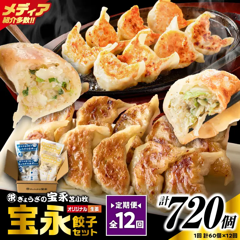 【定期便・全12回 毎月】手包み餃子 ぎょうざの宝永 生姜餃子60個セット（宝永餃子15個入×2袋・生姜餃子15個入×2袋） T004-T05-02-05 定期便 定期 惣菜 総菜 餃子