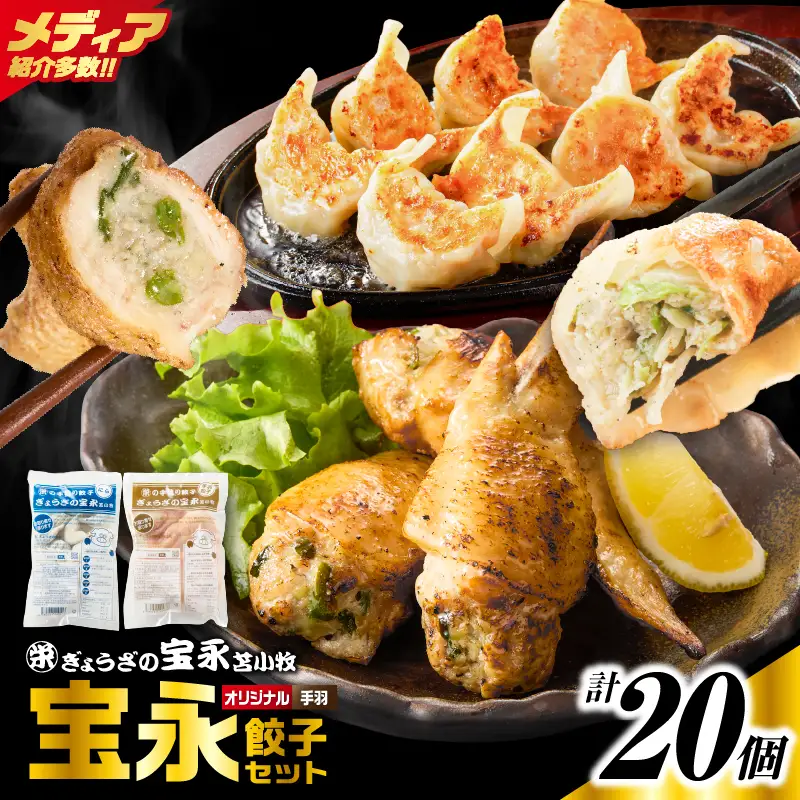 手包み餃子 ぎょうざの宝永 手羽餃子20個セット（宝永餃子15個入×1袋・手羽餃子5個入×1袋） T004-006-01 惣菜 総菜 餃子