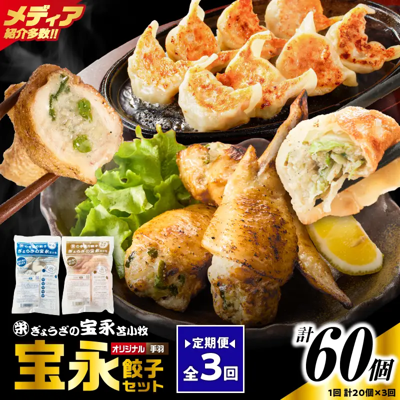 【定期便・全3回 毎月】手包み餃子 ぎょうざの宝永 手羽餃子20個セット（宝永餃子15個入×1袋・手羽餃子5個入×1袋） T004-T06-01-02 定期便 定期 惣菜 総菜 餃子