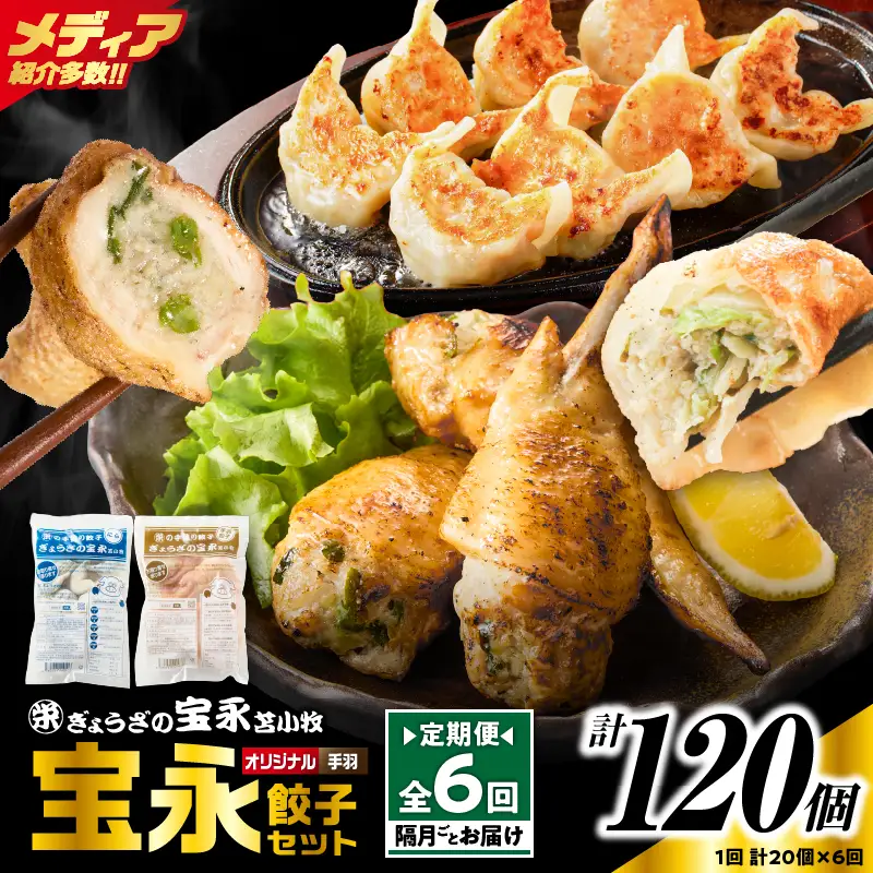 【定期便・全6回 隔月】手包み餃子 ぎょうざの宝永 手羽餃子20個セット（宝永餃子15個入×1袋・手羽餃子5個入×1袋） T004-T06-01-03 定期便 定期 惣菜 総菜 餃子