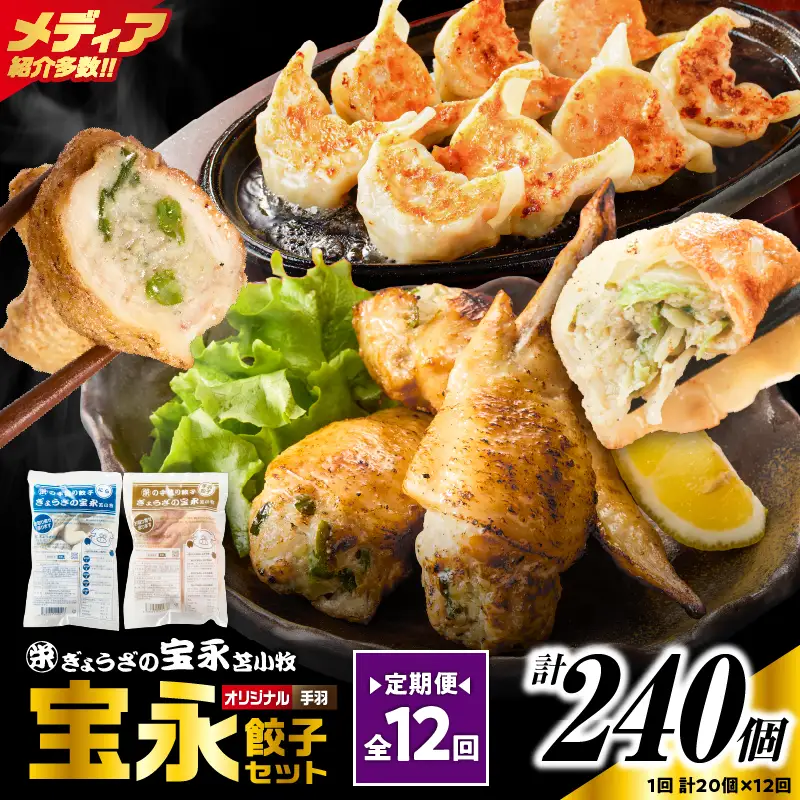 【定期便・全12回 毎月】手包み餃子 ぎょうざの宝永 手羽餃子20個セット（宝永餃子15個入×1袋・手羽餃子5個入×1袋） T004-T06-01-05 定期便 定期 惣菜 総菜 餃子