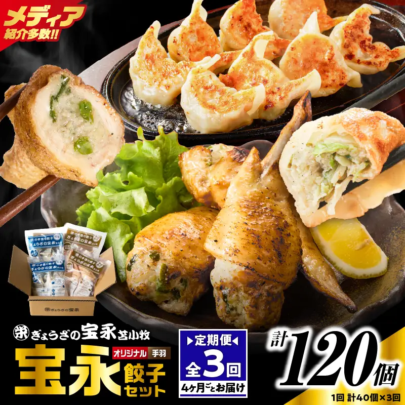 【定期便・全3回 4ヶ月毎】手包み餃子 ぎょうざの宝永 手羽餃子40個セット（宝永餃子15個入×2袋・手羽餃子5個入×2袋） T004-T06-02-01 定期便 定期 惣菜 総菜 餃子