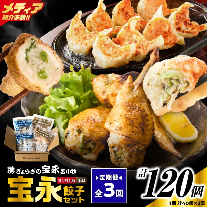 【定期便・全3回 毎月】手包み餃子 ぎょうざの宝永 手羽餃子40個セット（宝永餃子15個入×2袋・手羽餃子5個入×2袋） T004-T06-02-02 定期便 定期 惣菜 総菜 餃子 