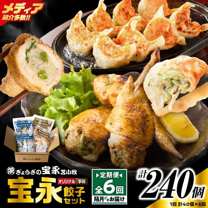 【定期便・全6回 隔月】手包み餃子 ぎょうざの宝永 手羽餃子40個セット（宝永餃子15個入×2袋・手羽餃子5個入×2袋） T004-T06-02-03 定期便 定期 惣菜 総菜 餃子