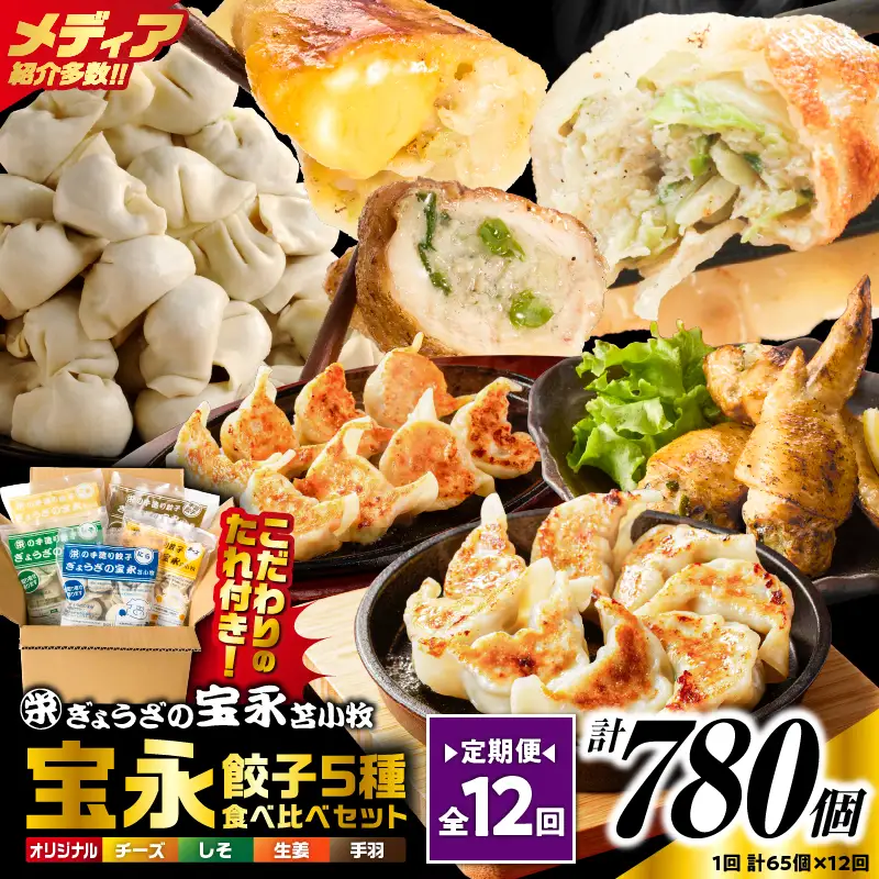 【定期便・全12回 毎月】手包み餃子 ぎょうざの宝永 5種食べ比べセット（65個入） T004-T07-05 定期便 定期 惣菜 総菜 餃子