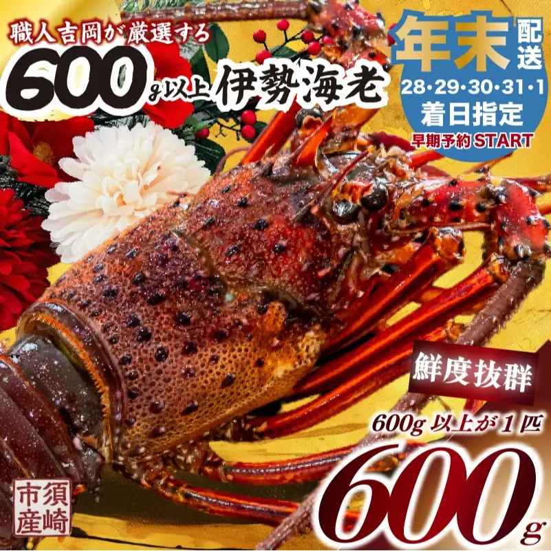 【伊勢海老】 【年末予約配送･1日着】特大伊勢海老 1匹
