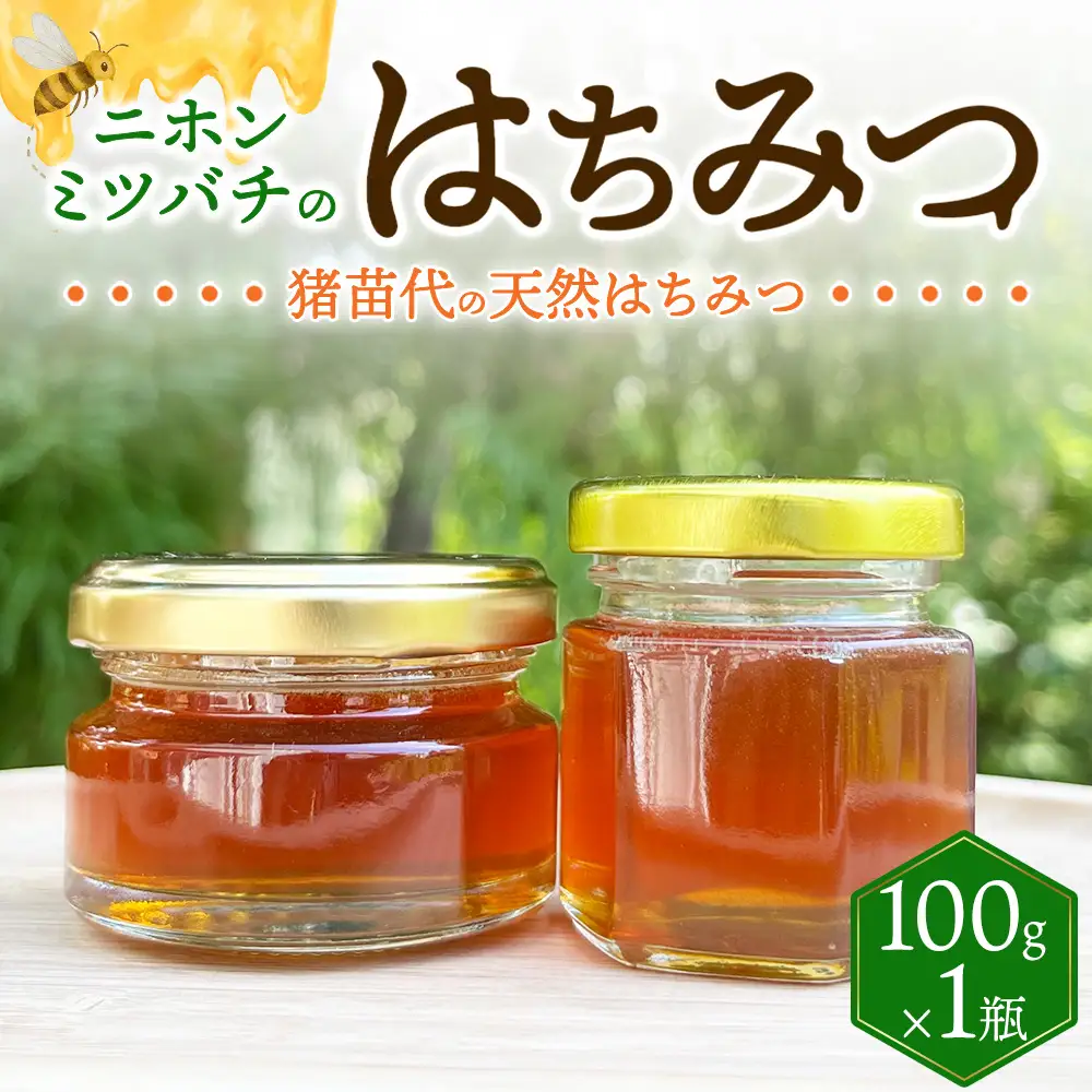 ニホンミツバチのはちみつ （100g）