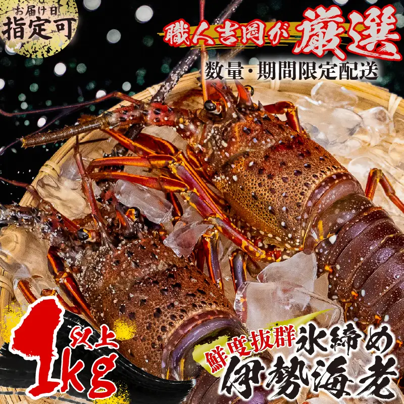 【伊勢海老】 氷締め伊勢海老 1kg以上