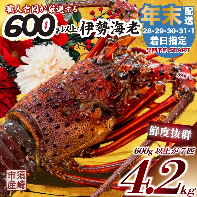 【伊勢海老】 【年末予約配送･28日着】特大伊勢海老 7匹