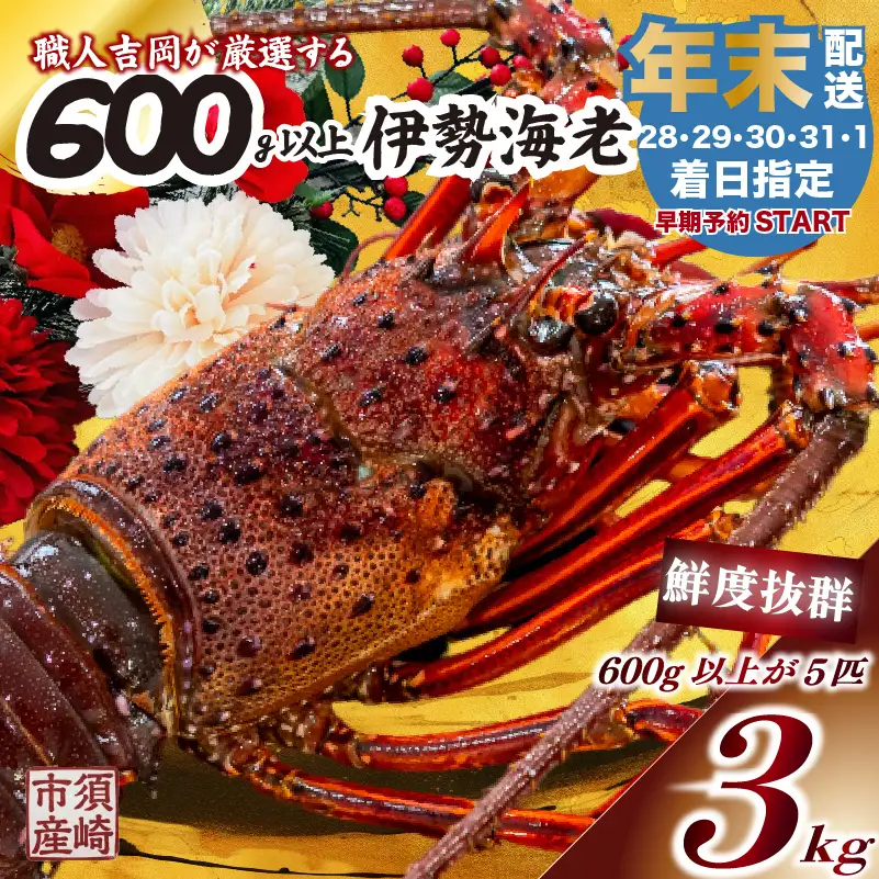 【伊勢海老】 【年末予約配送･29日着】特大伊勢海老 5匹