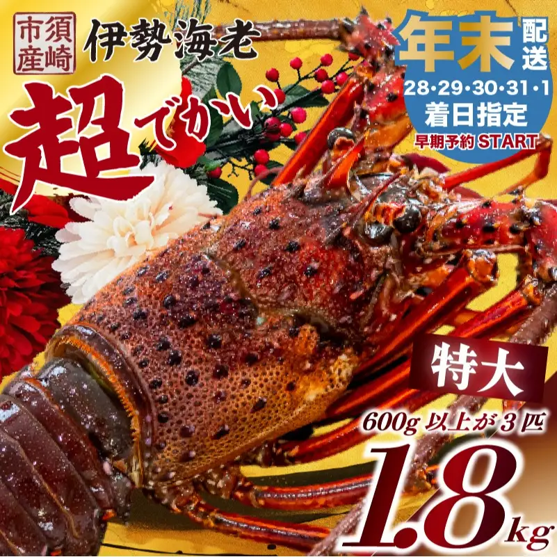 【伊勢海老】 【年末予約配送･31日着】特大伊勢海老 3匹