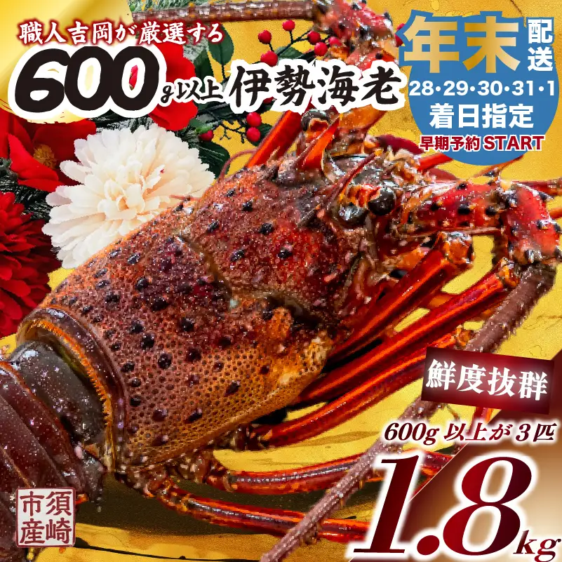 【伊勢海老】 【年末予約配送･29日着】特大伊勢海老 3匹