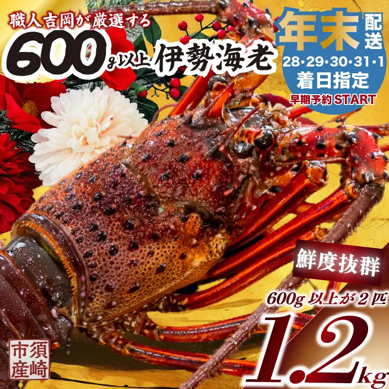 【伊勢海老】 【年末予約配送･31日着】特大伊勢海老 2匹