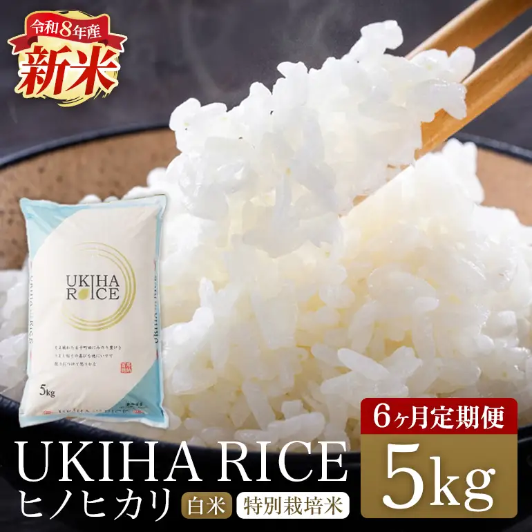 【6ヶ月定期便】 米 白米 精米 UKIHA RICE 白米 5kg×6回 特別栽培米 計60kg ヒノヒカリ 令和8年産 新米 みずほファーム A06-008