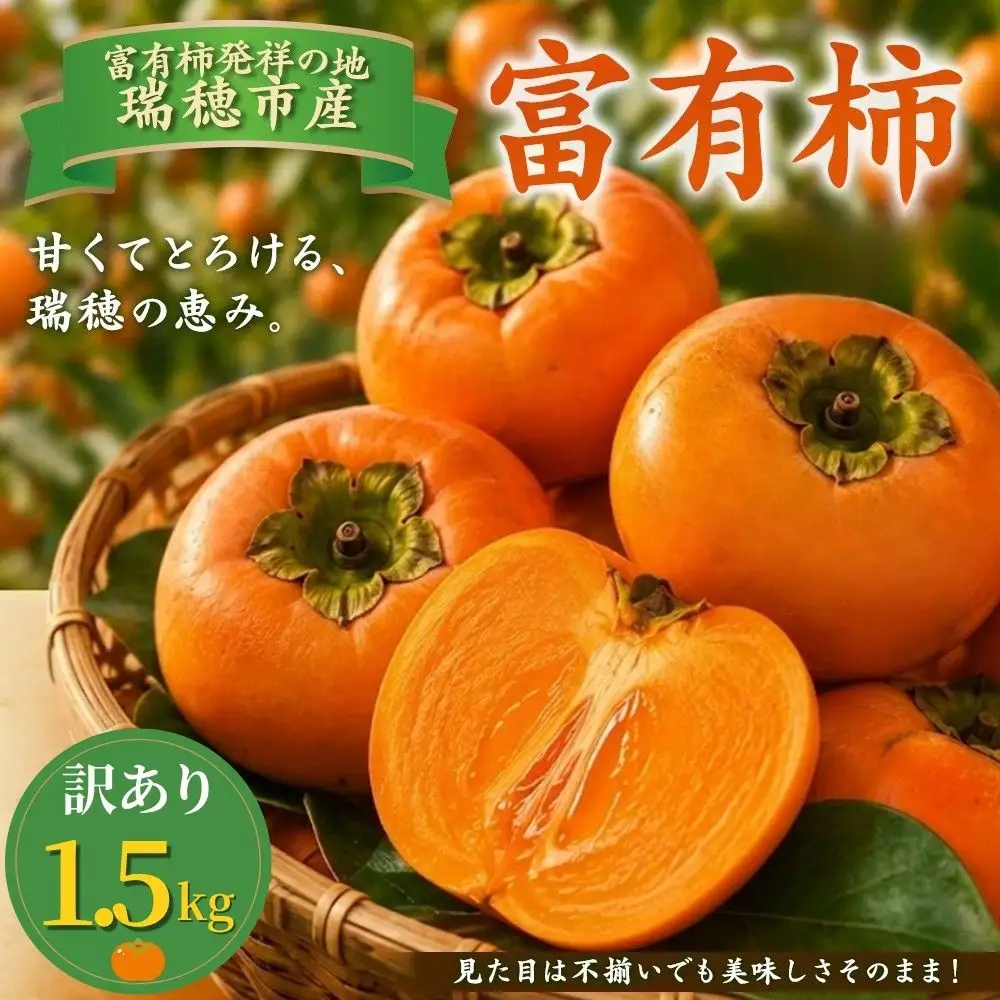 富有柿 訳あり 1.5kg | 柿 ※2026年11月～発送