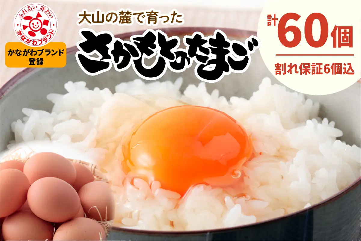坂本養鶏 大山の麓で育った さかもとのたまご 60個 (54個＋割れ保証6個) [1452]