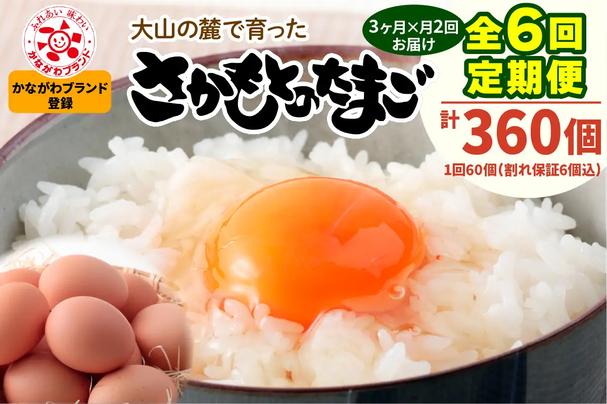 [定期便／3ヶ月×月2回 (全6回)] さかもとのたまご 60個 (54個＋割れ保証6個) 合計360個 [1454]