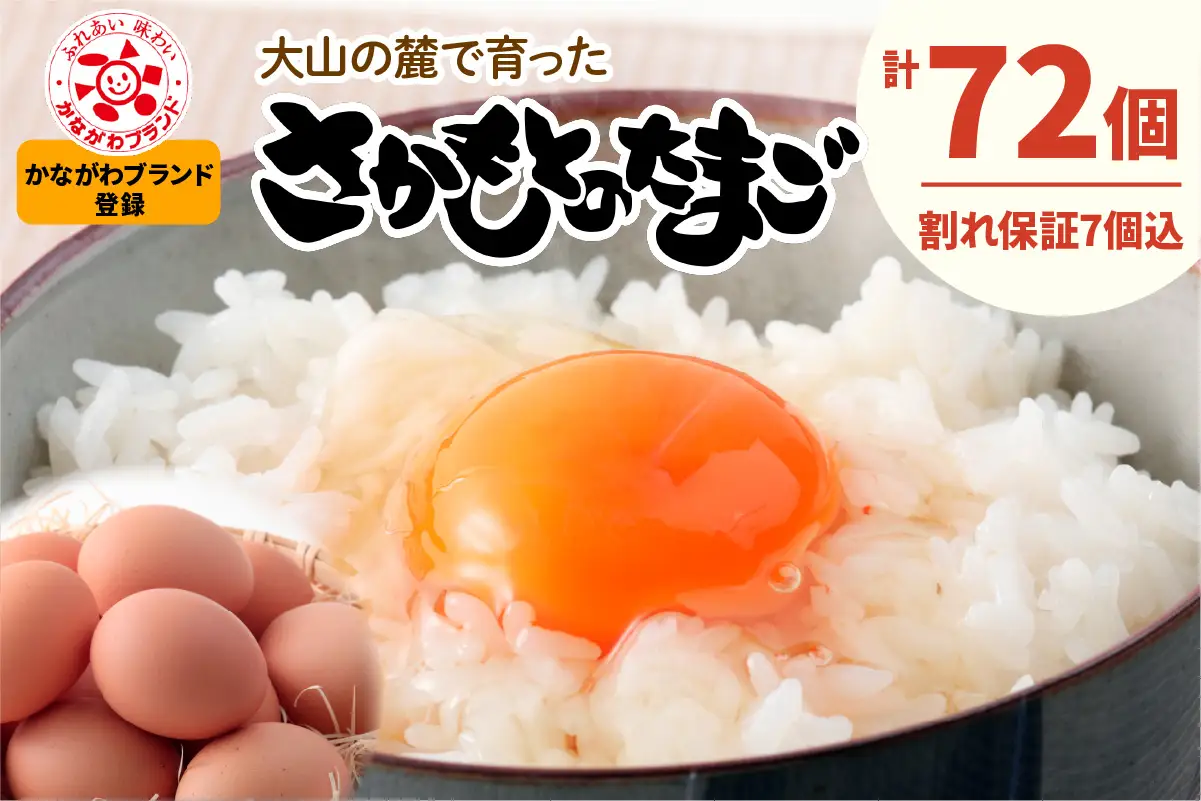 坂本養鶏 大山の麓で育った さかもとのたまご 72個 (65個＋割れ保証7個) [1456]
