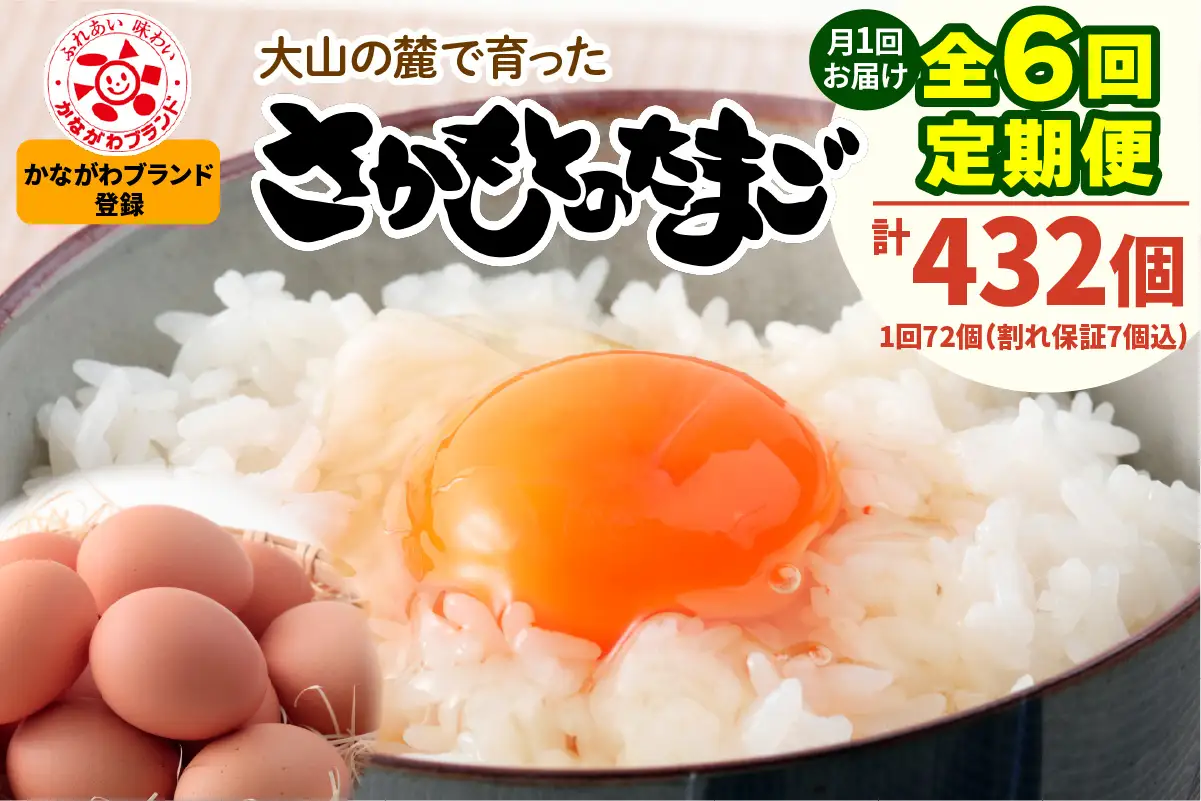 [定期便／6ヶ月×月1回] 坂本養鶏 大山の麓で育った さかもとのたまご 72個 (65個＋割れ保証7個) 合計432個 [1457]