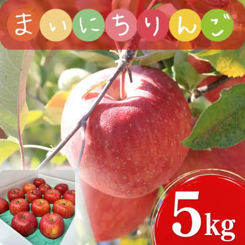 【12月上旬~発送】 りんご サンフジ 5kg 先行予約 訳あり 家庭用 ふじむら農園 fujimura005