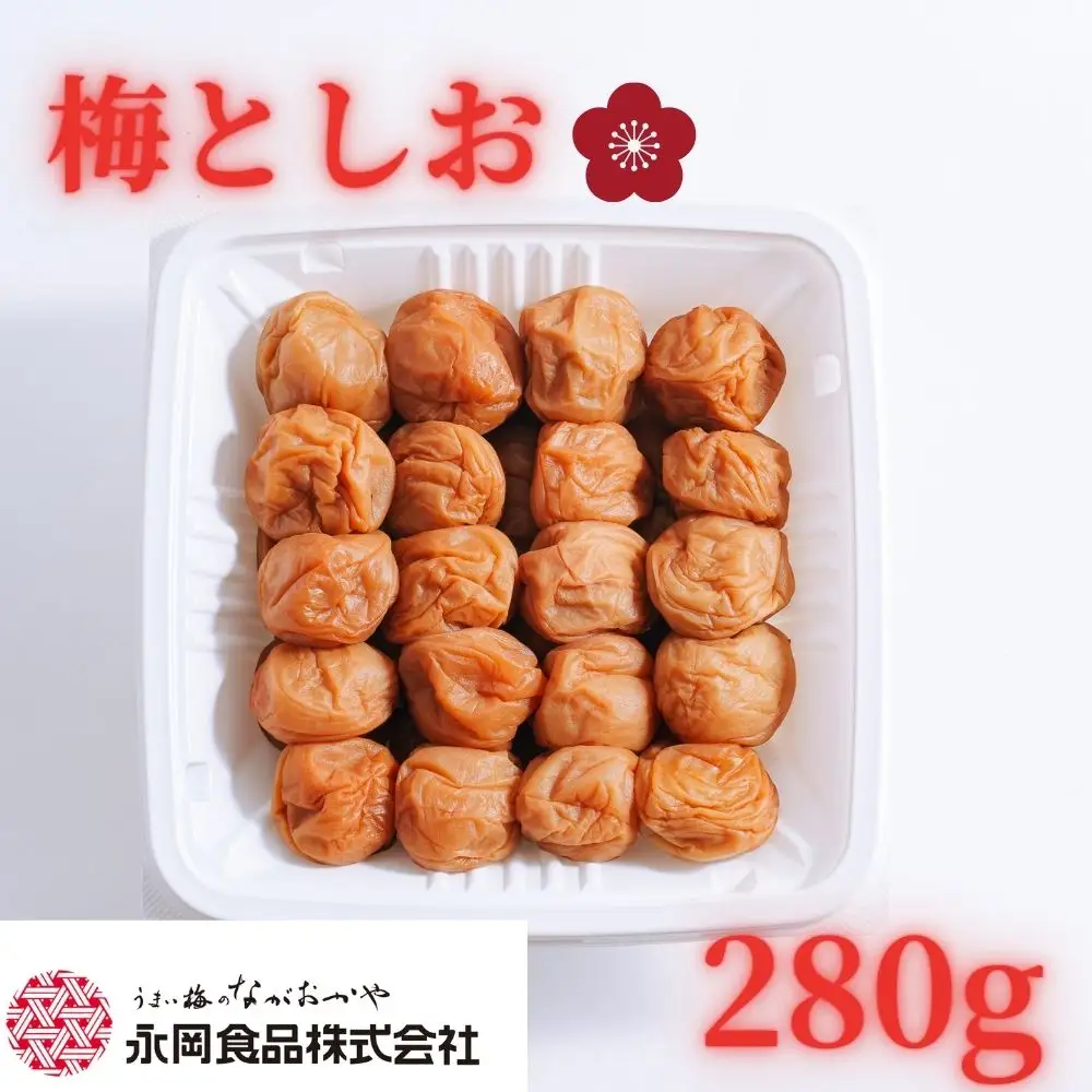紀州南高梅使用 梅と塩 白干し 280g 塩分約19％ 【ngao021】