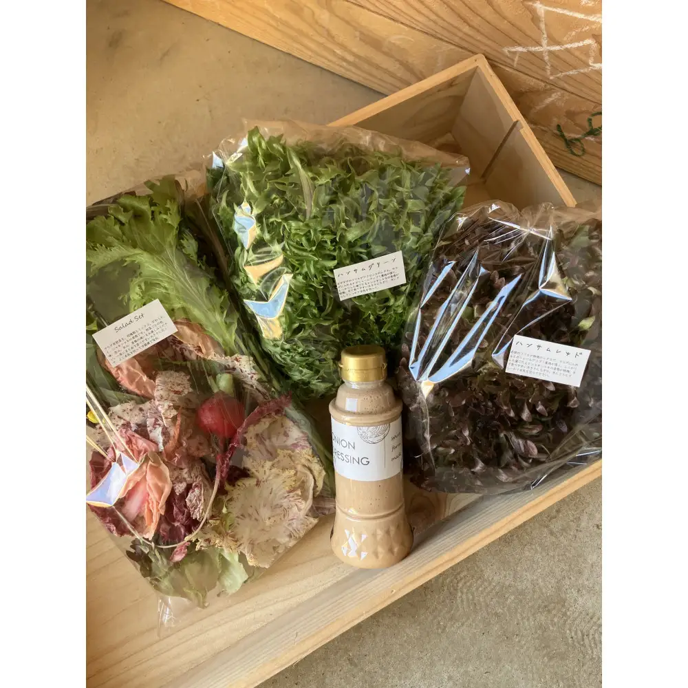 【SPIRA FARM】旬の野菜と玉ねぎドレッシングのセット（１３～１５品）