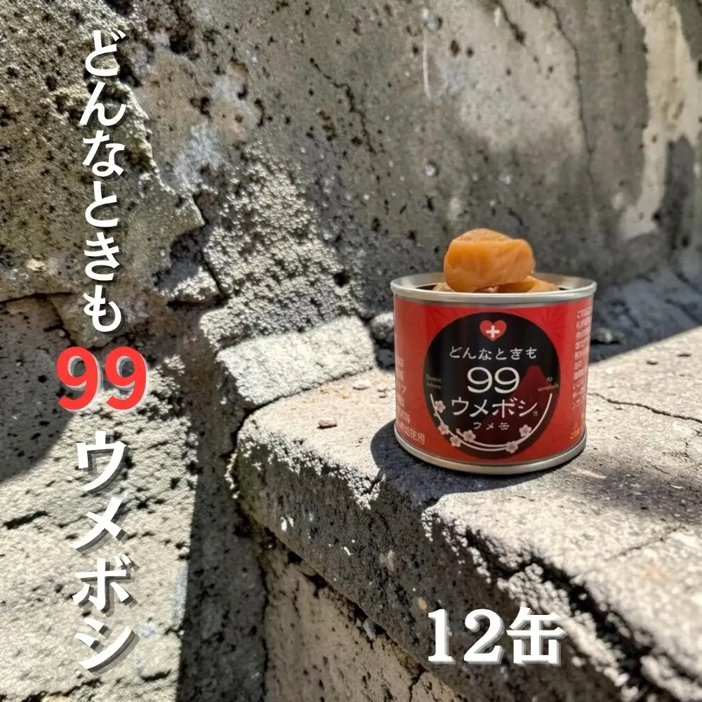 紀州南高梅使用 ウメ缶 どんなときも99梅干し 12缶 塩分約19％  | 【缶詰 防災】 【ngao024】