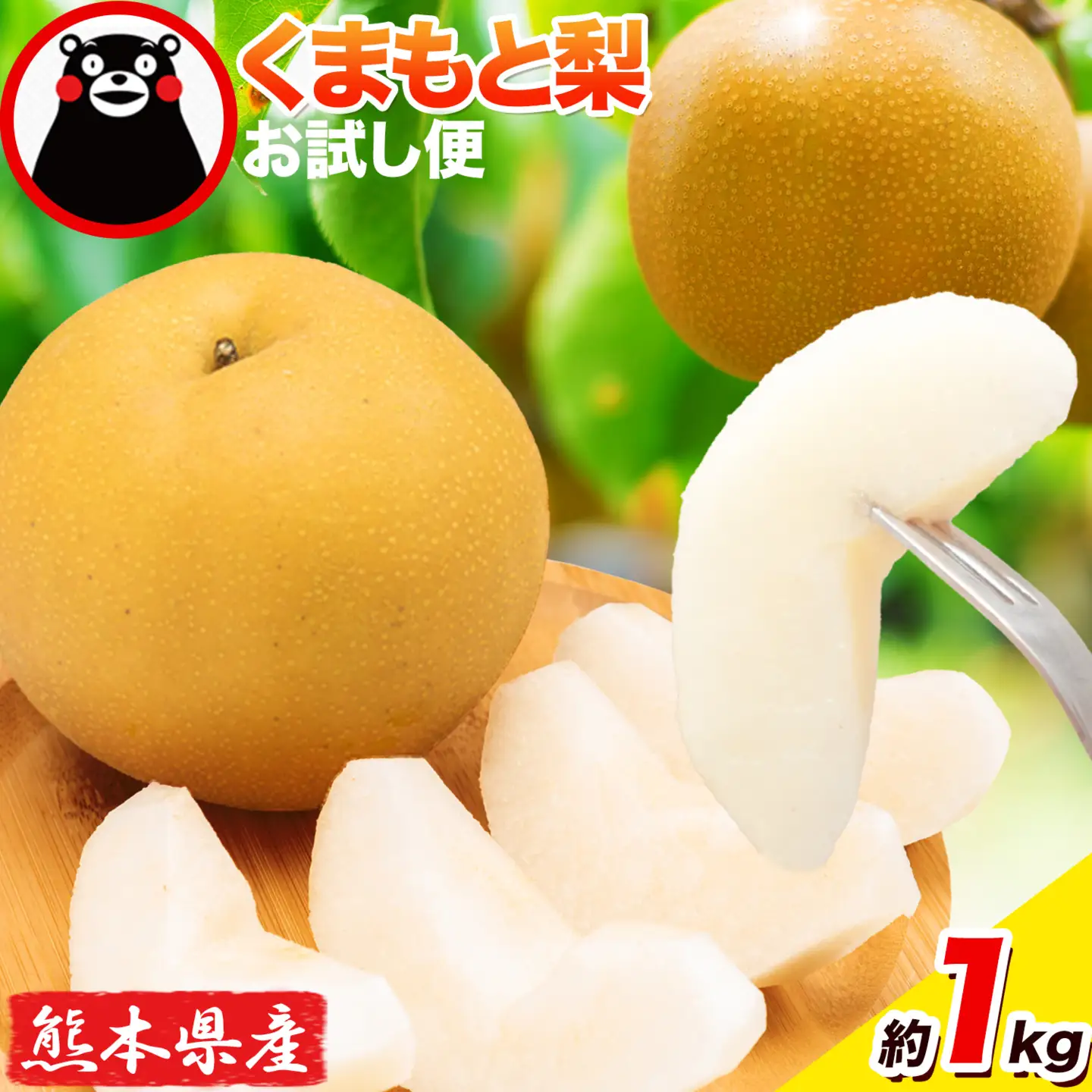 梨 くまもと梨 1kg 品種 熊本県産