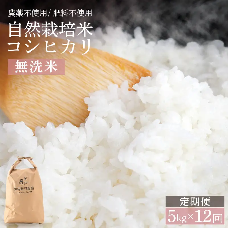 【先行予約】【令和8年産】定期便 ≪12ヶ月連続お届け≫ 自然栽培米コシヒカリ 無洗米5kg×12回（計60kg） ＜温度と湿度を常時管理し新鮮米を出荷！＞/ 米 白米 自然の力 高品質 鮮度抜群 ブランド米 福井県 あわら市産 スマート農業 ※2026年10月下旬以降順次発送 [aw071-o007]