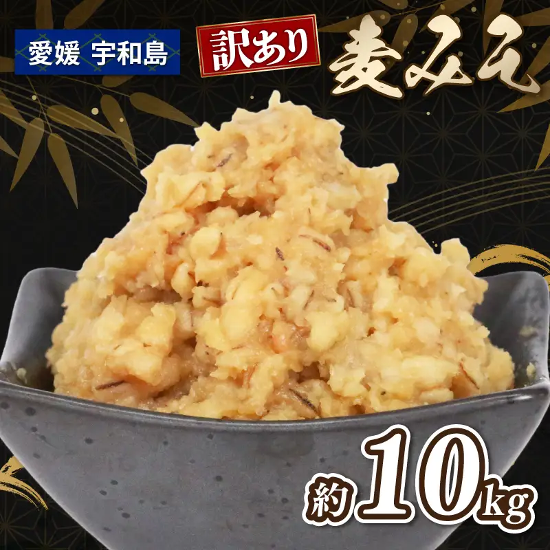 味噌 訳あり 麦味噌 約 10kg 宮居醤油店 味噌 J015-122007