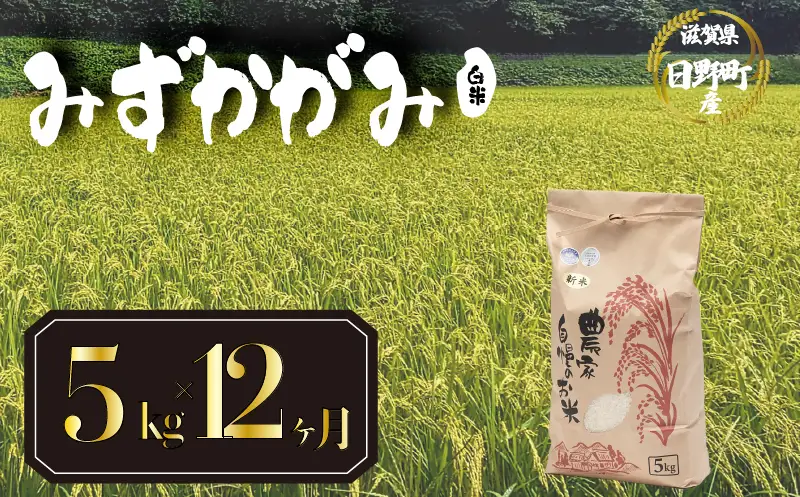 【先行予約】令和8年産 みずかがみ 5kg 定期便 12ヶ月 白米 米 
