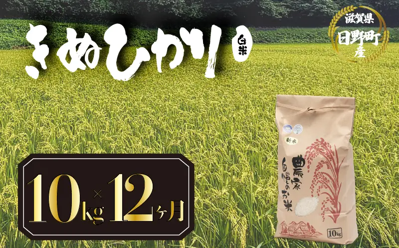 【先行予約】令和8年産 きぬひかり 10kg 定期便 12ヶ月 白米 米 