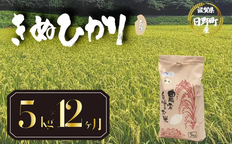 【先行予約】令和8年産 新米 きぬひかり 5kg 定期便 12ヶ月 玄米 米 