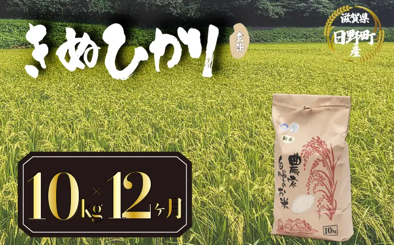 【先行予約】令和8年産 新米 きぬひかり 10kg 定期便 12ヶ月 玄米 米 