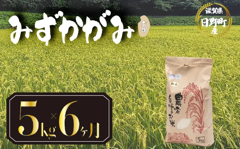 【先行予約】令和8年産 新米 みずかがみ 5kg 定期便 6ヶ月 玄米 米 