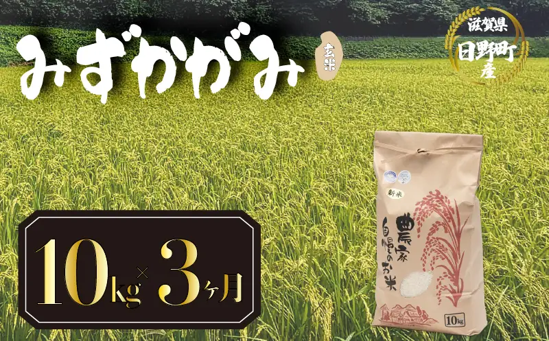 【先行予約】令和8年産 新米 みずかがみ 10kg 定期便 3ヶ月 玄米 米 