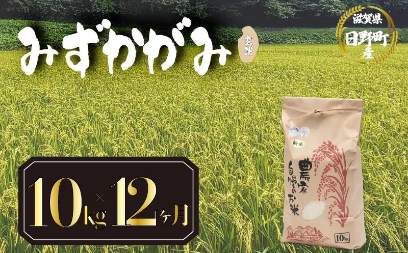【先行予約】令和8年産 新米 みずかがみ 10kg 定期便 12ヶ月 玄米 米 