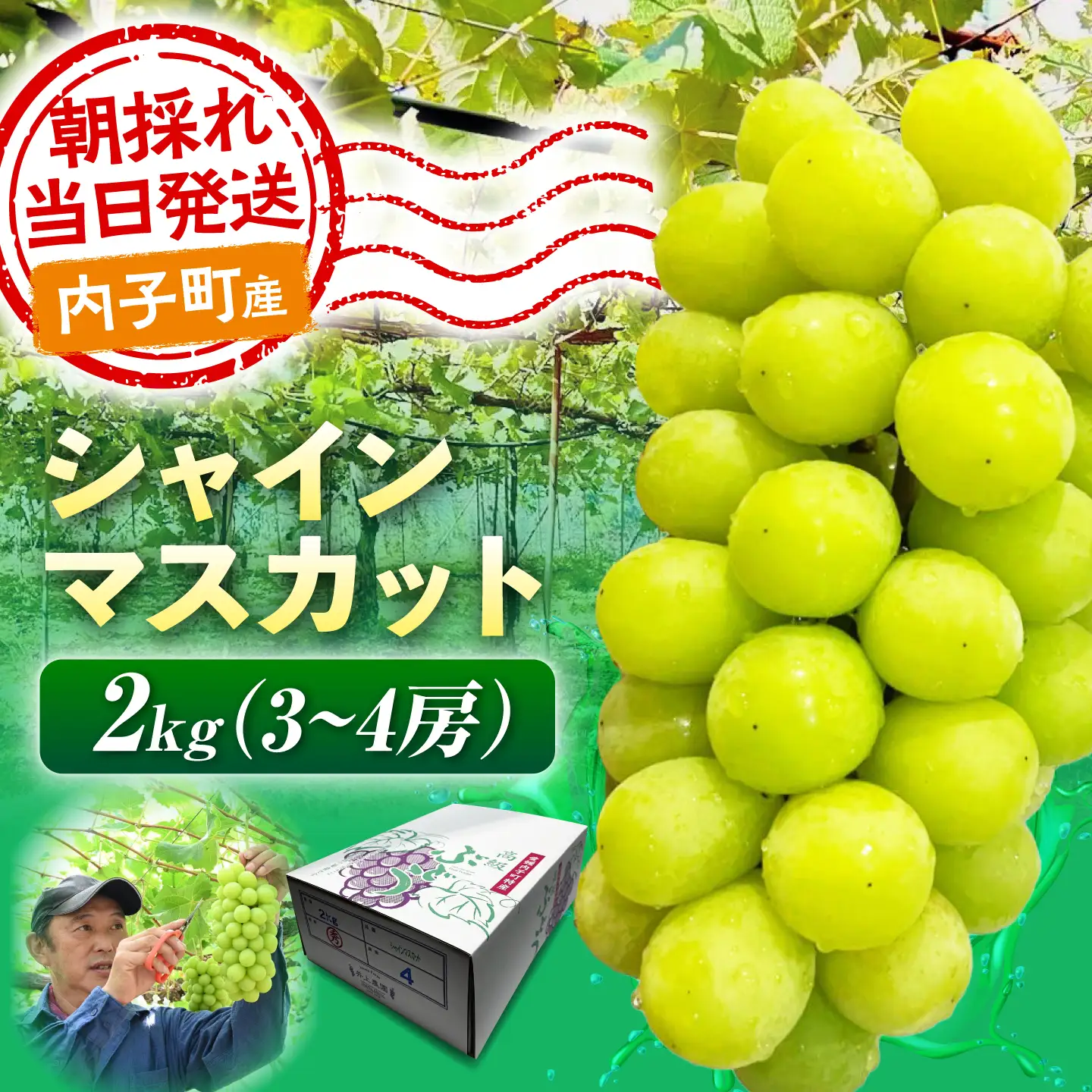 【先行予約】シャインマスカット 2kg (3～4房) BKCS003