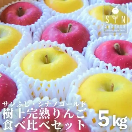 松陽園 樹上完熟 りんご 食べ比べセット サンふじ シナノゴールド 合計 5kg 農家直送 先行予約【1768870】