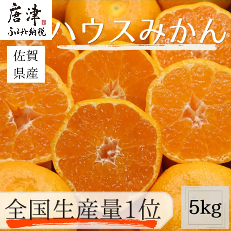 『先行予約』【令和9年7月上旬より順次発送】【全国出荷量1位】佐賀県ハウスみかん 5kg 高級甘熟みかん 果物フルーツ 柑橘
